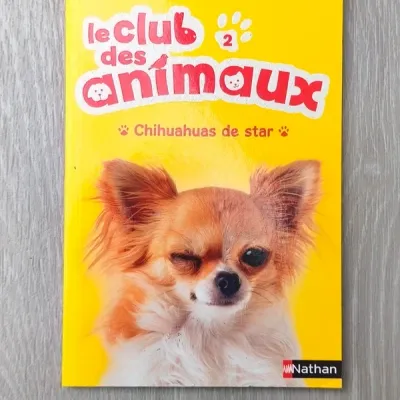 Le club des animaux ; chihuahuas de star